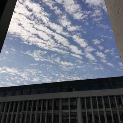 九仙传奇九游版手游下载